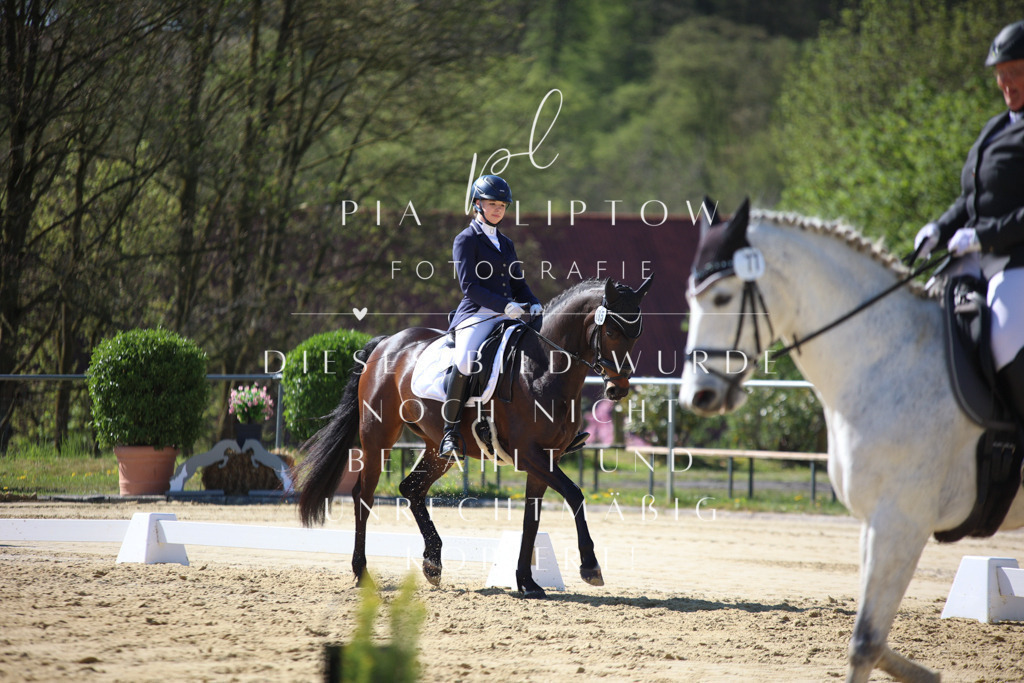 IMGT9780 | pl-fotografie