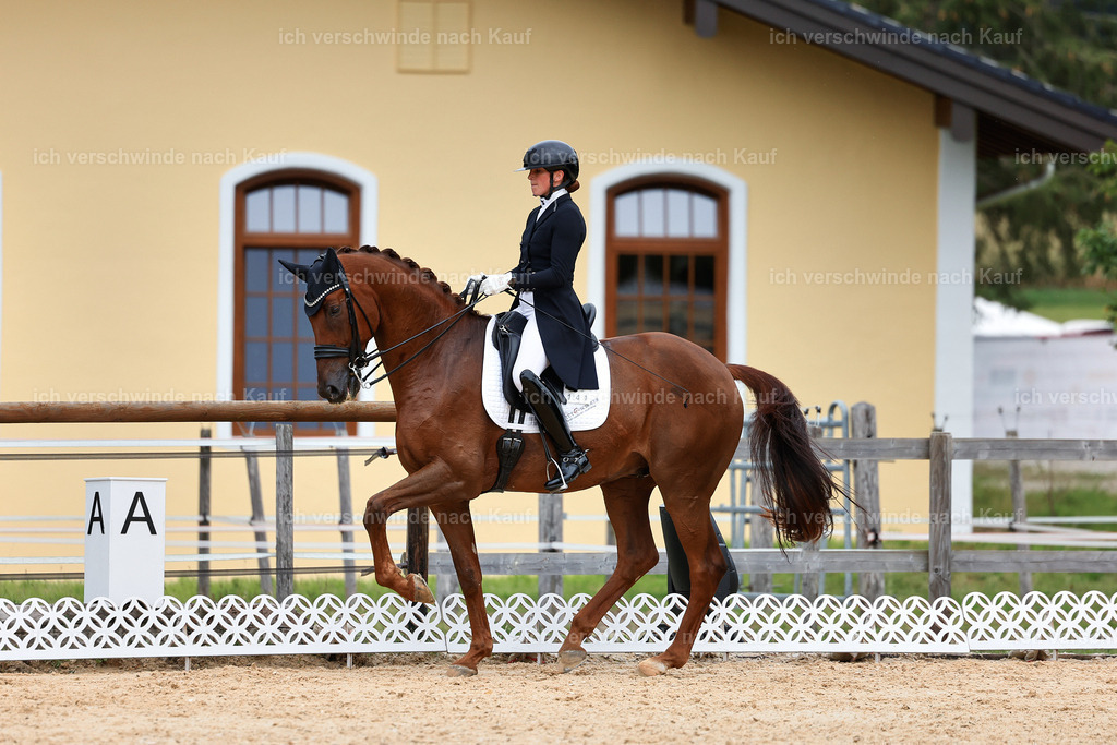11-141-Dressur S___-StoibPH-863 | working equitationturnier fotograf videograf stoibphotography marixx film working equitation deutschland reitsport turnierfotografie eventfotografie equestrian events