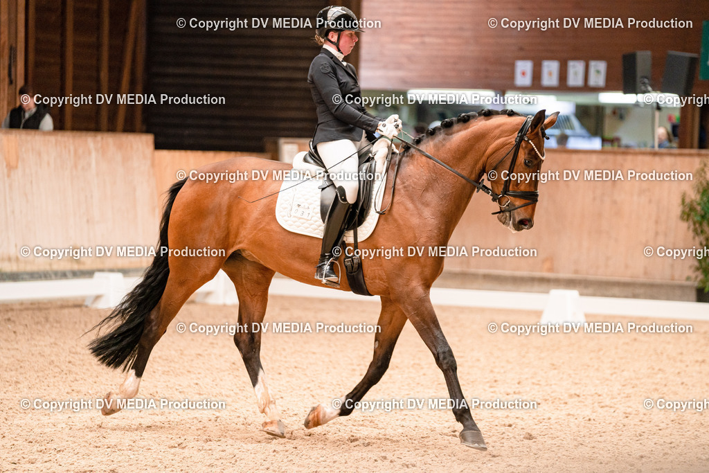 Dressur Tag 1 -138 | dv-media-shop - Realisiert mit Pictrs.com