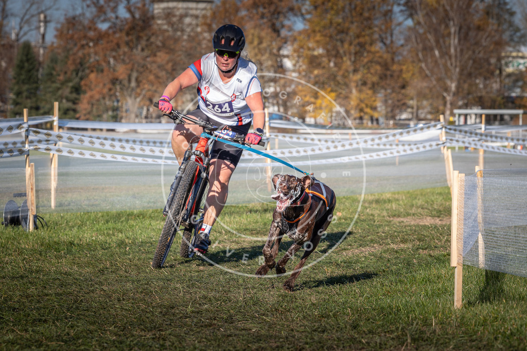 CaniXpix_0L8A5053 | Hundefotografie, Tierfotograf, Pfotenfotografie, Fotoshooting Hund, Hunde Portrait, Hundesport, Hundeportraits, Heideshooting, Hunde, Sportfotograf, Hundefotograf, Turnierhundsport, THS,  - Realisiert mit Pictrs.com
