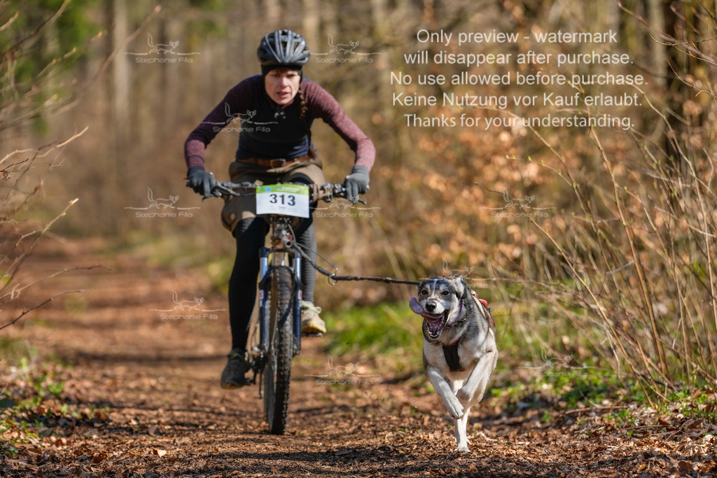 Bike_kurz_So-31 | stephaniefillaphotographie - Realisiert mit Pictrs.com