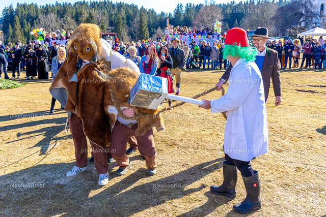 Bärentreiben in Steuerberg | Bildershop von pixelworld.at - Realisiert mit Pictrs.com