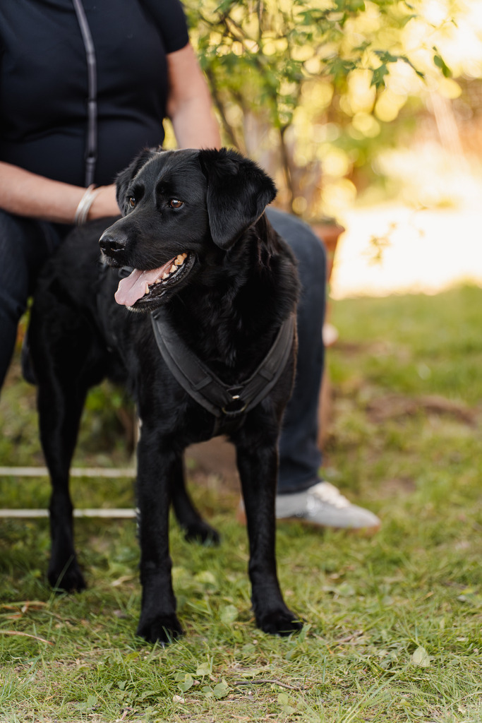 20260426-204 | MuT (Mensch und Tier) mit Mona - Fotografie und Tierkommunikation - Realisiert mit Pictrs.com