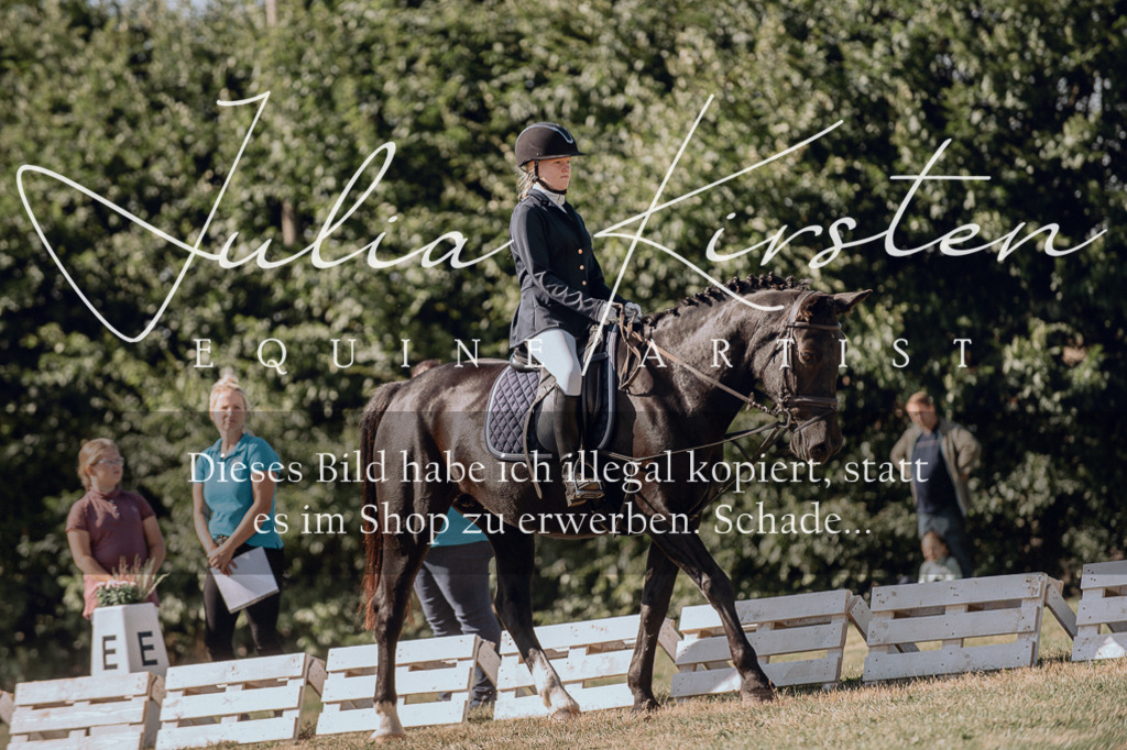 DSC_7275 | Pferde- und Turnierfotografie in Westsachsen. Pferdeportraits, Auftragszeichnungen und intuitive Kunst.