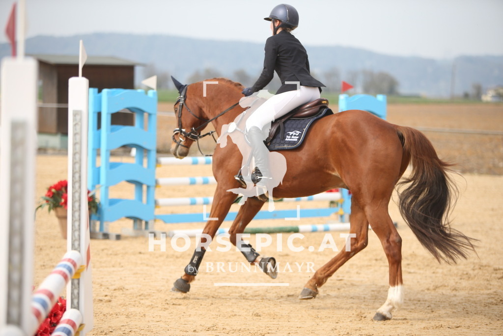 PP018319 | Willkommen bei Brunnmayr - Design & Fotografie – Ihrem Spezialisten für Reitturniere und Pferdeveranstaltungen in Oberösterreich, Salzburg und Bayern! Seit über 17 Jahren sind wir leidenschaftlich dabei.