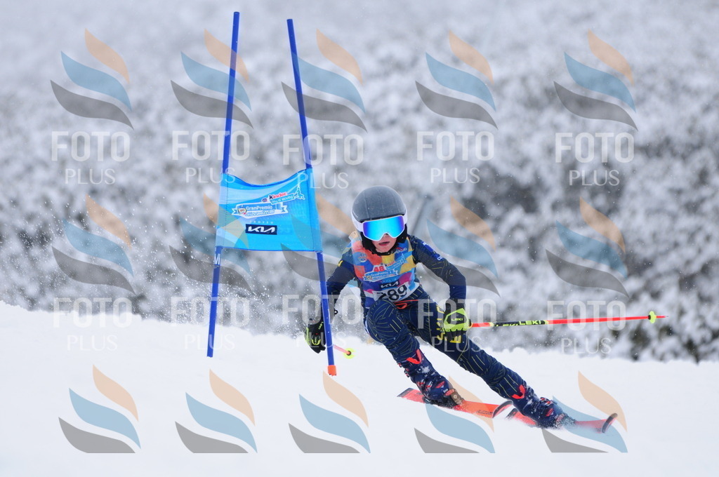 C3037 | holidayphoto