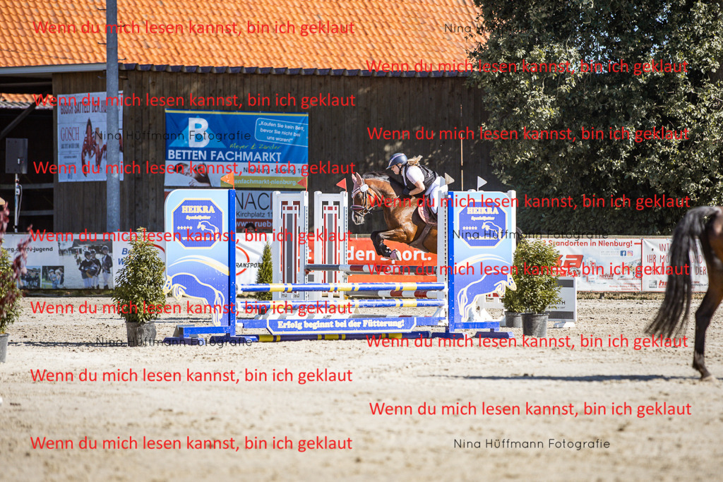 BK1A8092 | Turnierbilder Turnierfotos Nina Hüffmann Turnierfotografie Pferdefotografie Tierzeichnung Haustierzeichnung Pferdezeichnung Hundezeichnung Videograf  - Realisiert mit Pictrs.com