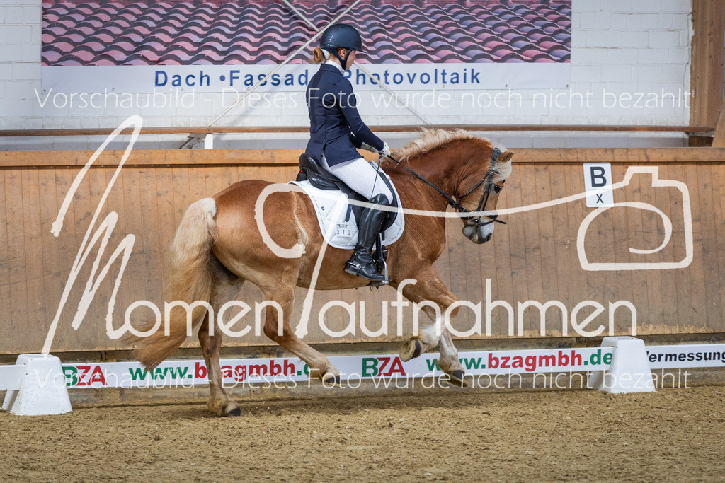 Sth-LPO25-L-Kür-061 | MomenTaufnahmen Pferdesportfotos