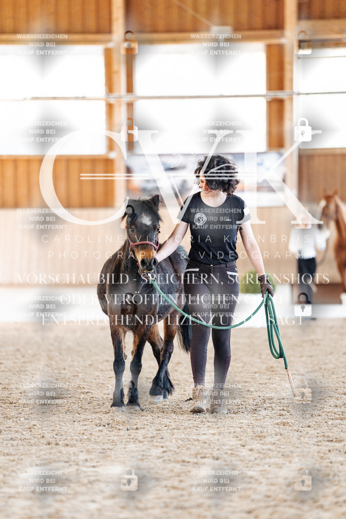 CK906890 | Turnierfotografie Pferdefotografie Trier Rheinland-Pfalz Pferdesport Reitsport Tierfotografie Sportfotografie Pferdevideo Pferdevideografie Equestrianvideography equestrianphotography  - Realisiert mit Pictrs.com