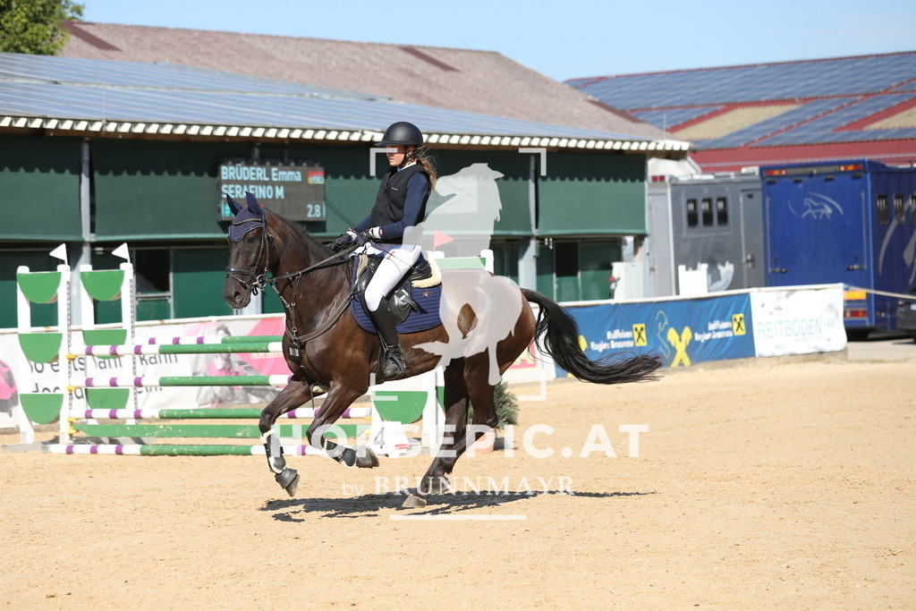 DL2Q0283 | Willkommen bei Brunnmayr - Design & Fotografie – Ihrem Spezialisten für Reitturniere und Pferdeveranstaltungen in Oberösterreich, Salzburg und Bayern! Seit über 17 Jahren sind wir leidenschaftlich dabei.