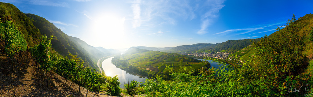 Calmont Klettersteig Panorama | Der Blick hinunter von Europas steilsten Weinberg. 