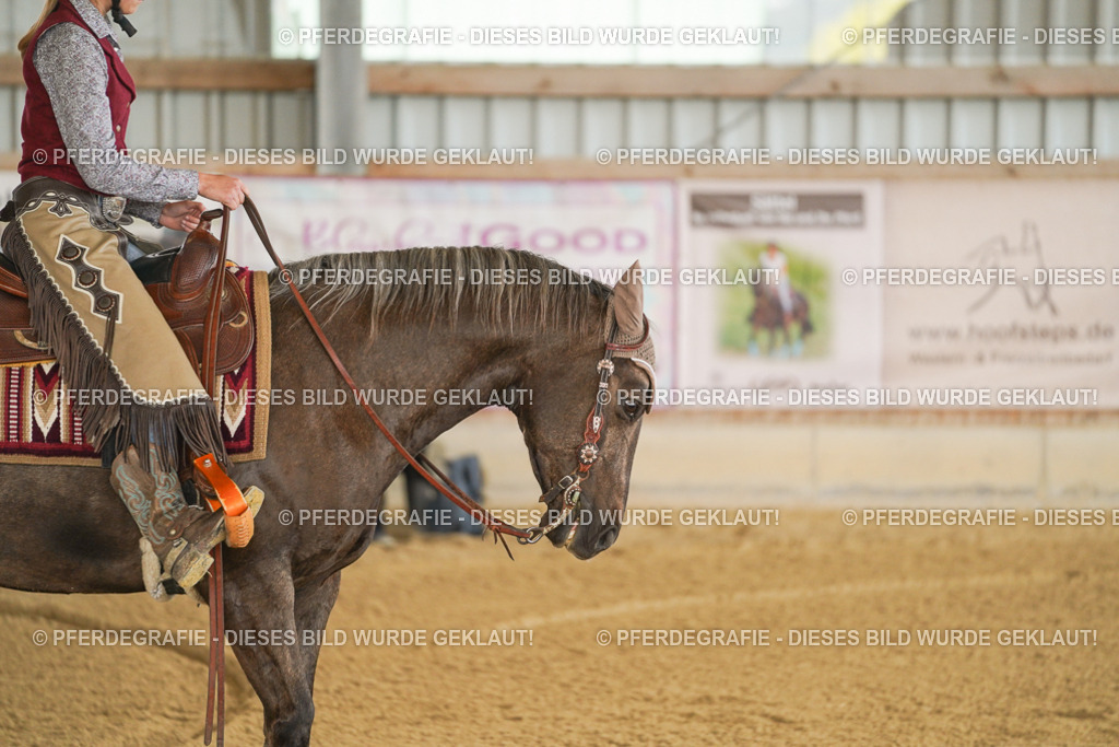 DSC05600 | Pferdegrafie