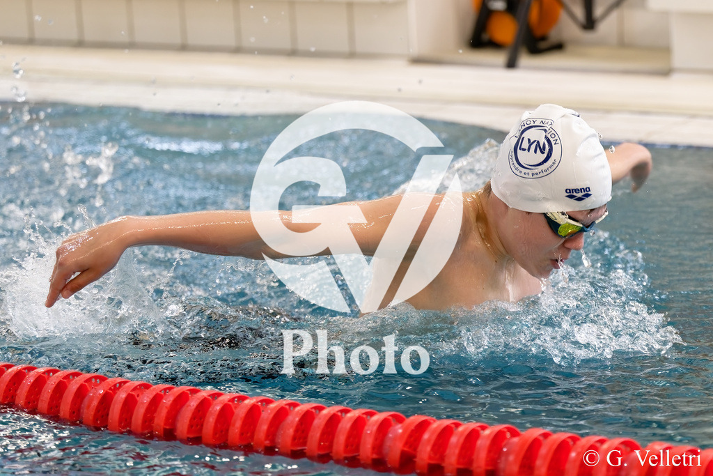 DSC_8537 | Velletri Photo