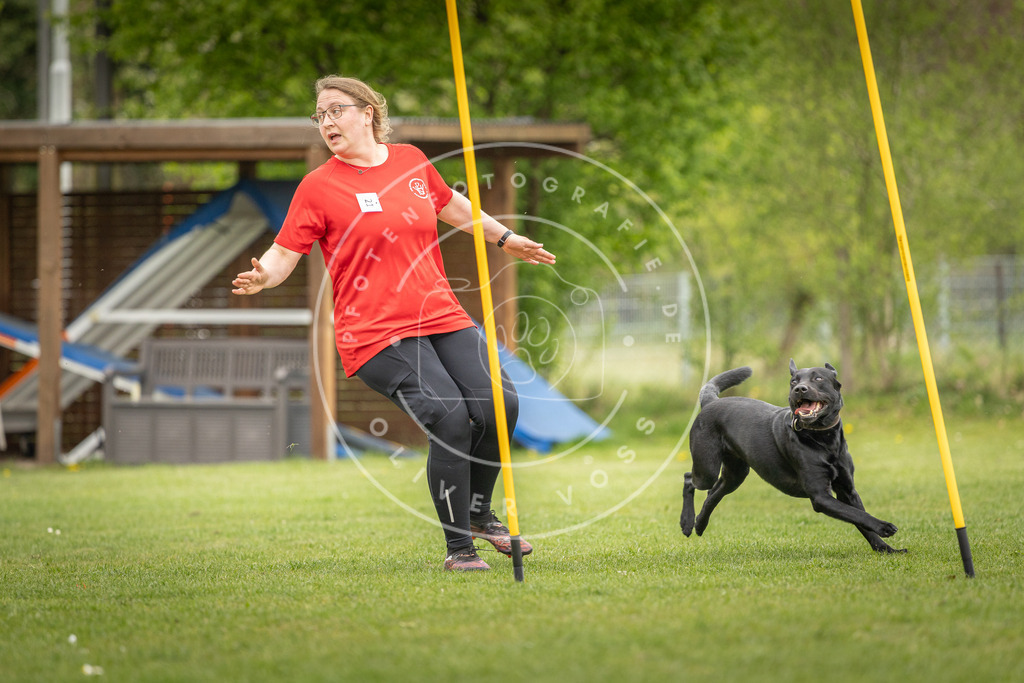Pfotenfotografie_DV3A0376 | Hundefotografie, Tierfotograf, Pfotenfotografie, Fotoshooting Hund, Hunde Portrait, Hundesport, Hundeportraits, Heideshooting, Hunde, Sportfotograf, Hundefotograf, Turnierhundsport, THS,  - Realisiert mit Pictrs.com