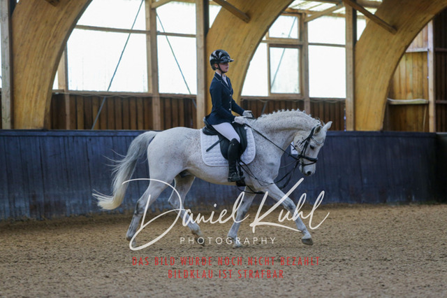 IMG_0770 | Turniersportfotografie; Pferdefotografie; Dressurfotografie