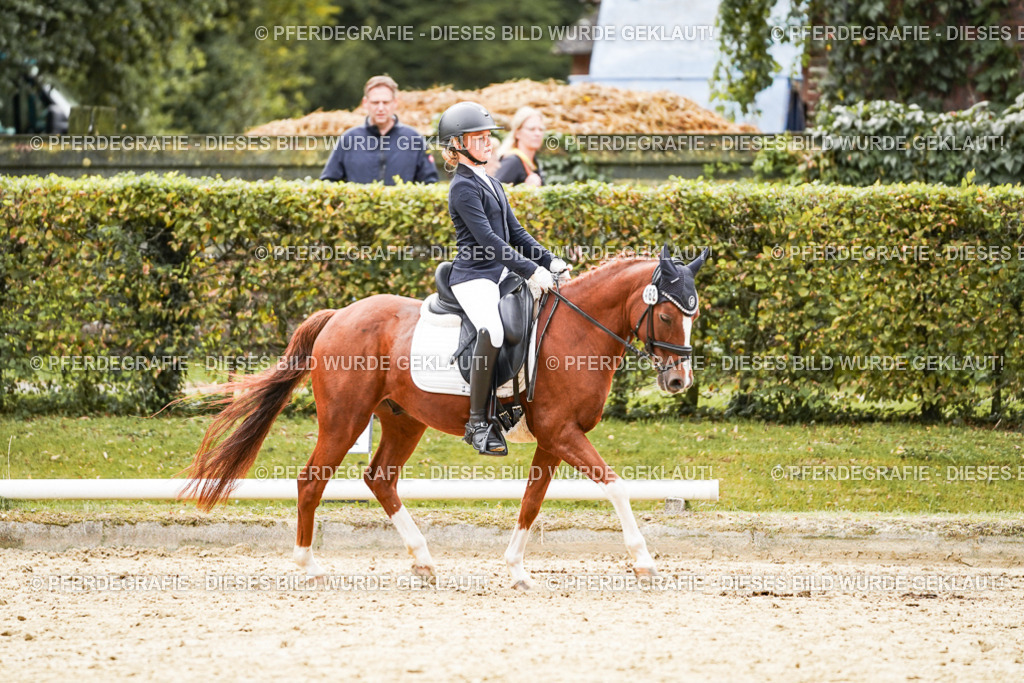 DSC00545 | Pferdegrafie