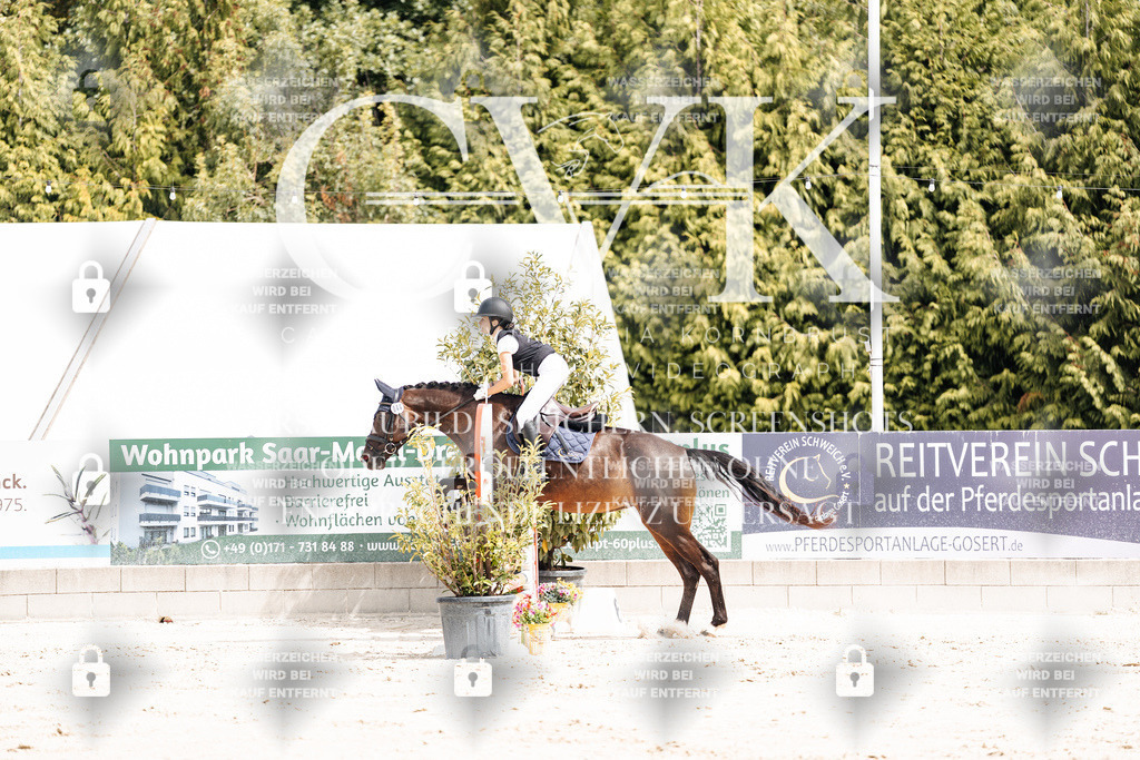 CK906348 | Turnierfotografie Pferdefotografie Trier Rheinland-Pfalz Pferdesport Reitsport Tierfotografie Sportfotografie Pferdevideo Pferdevideografie Equestrianvideography equestrianphotography  - Realisiert mit Pictrs.com