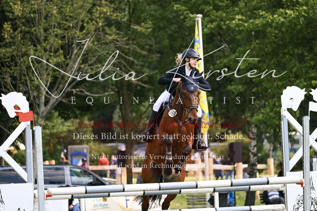 DSC_9032 | Pferde- und Turnierfotografie in Westsachsen. Pferdeportraits, Auftragszeichnungen und intuitive Kunst.
