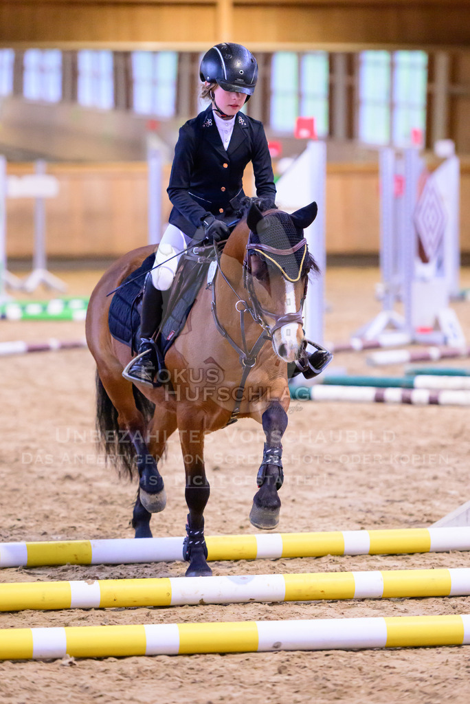 10042026-Mammendorf-Prfg20-0197 | Fokus Hufschlag Fotografie - Realisiert mit Pictrs.com