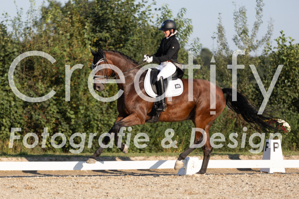 IMG_1299 | Creatify Fotografie