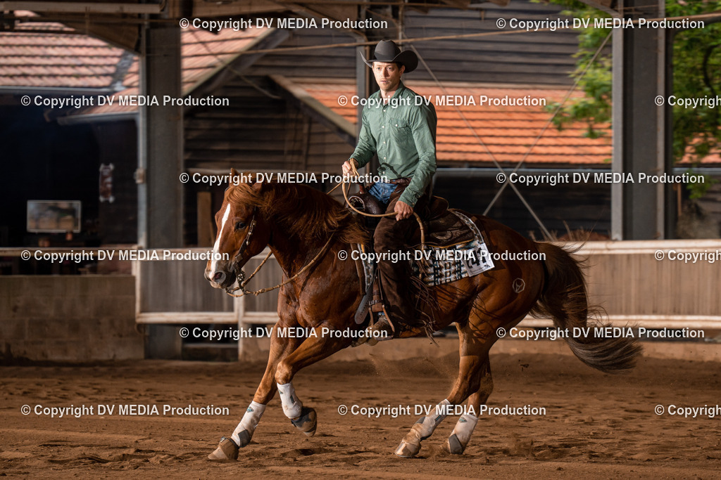 Erbach Tag 3-788 | dv-media-shop - Realisiert mit Pictrs.com