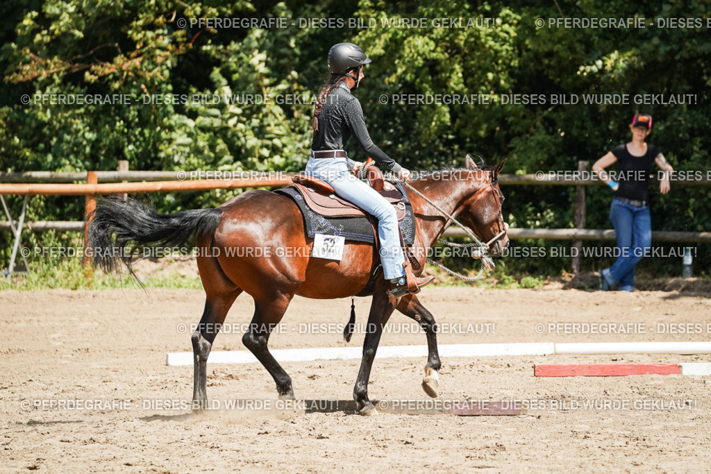 DSC07636 | Pferdegrafie