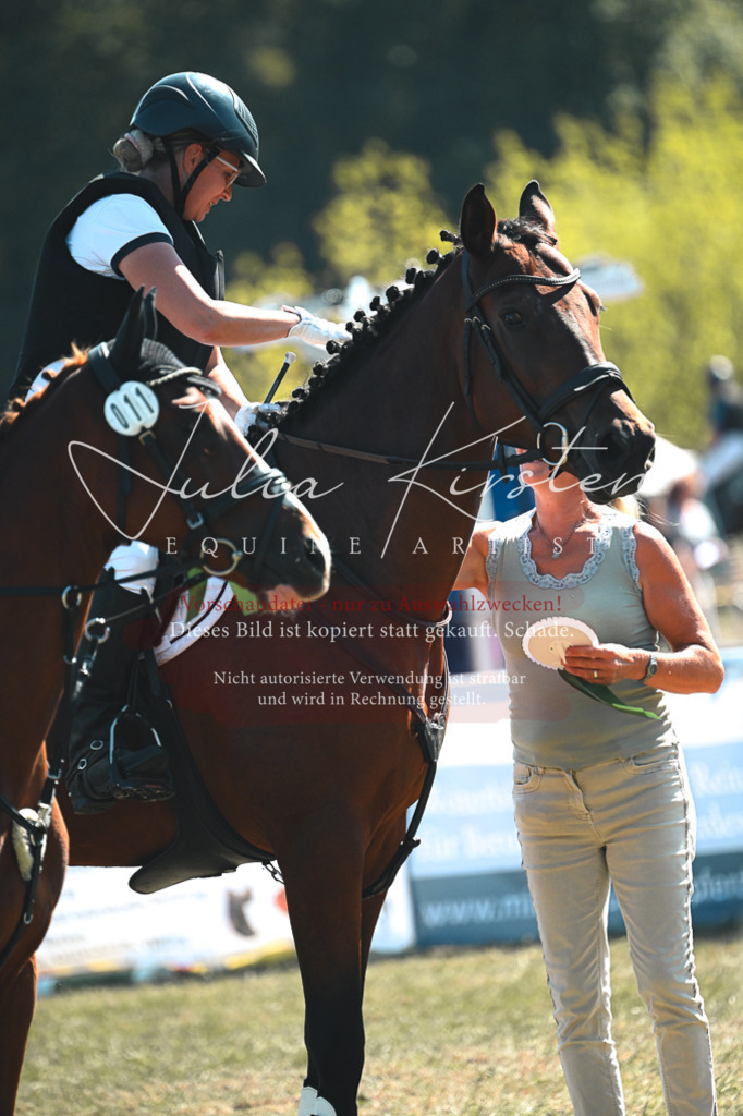 DSC_8436 | Pferde- und Turnierfotografie in Westsachsen. Pferdeportraits, Auftragszeichnungen und intuitive Kunst.