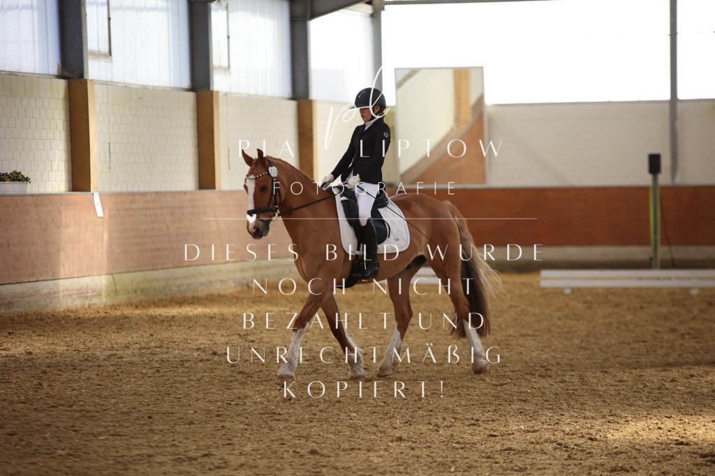 IMGT3929 | pl-fotografie