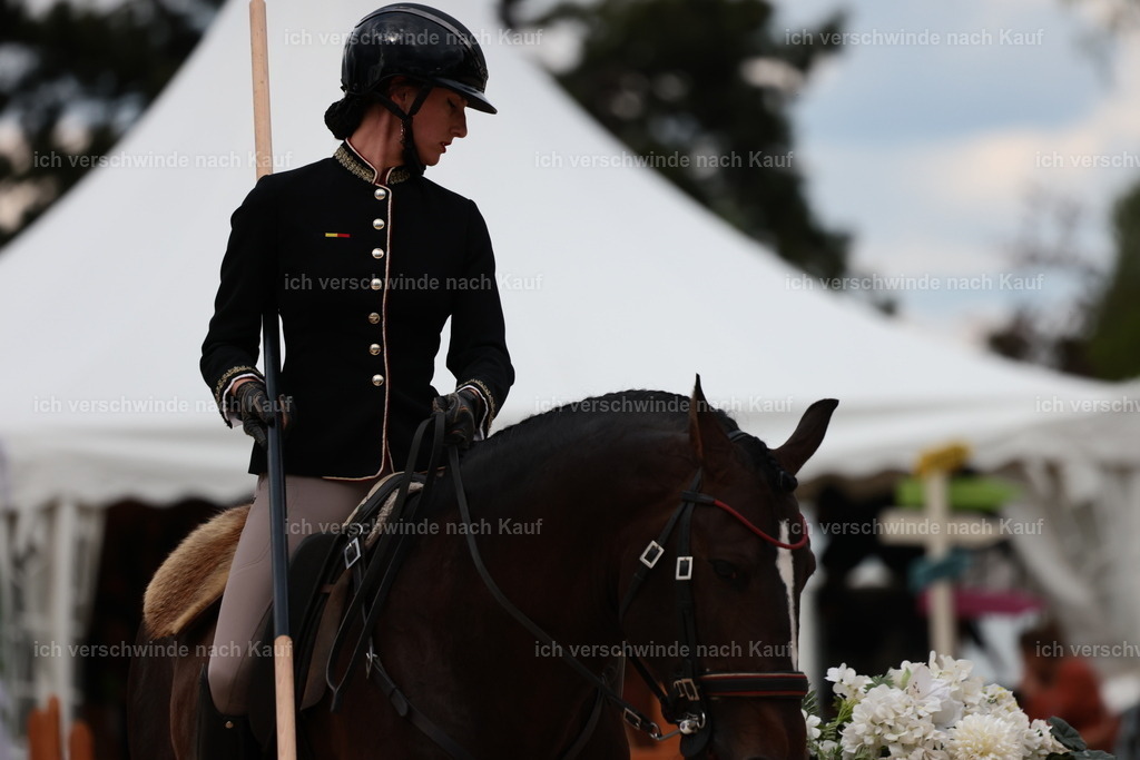PI26_ST_StoibphotographyC2_L8957.JPG | working equitationturnier fotograf videograf stoibphotography marixx film working equitation deutschland reitsport turnierfotografie eventfotografie equestrian events