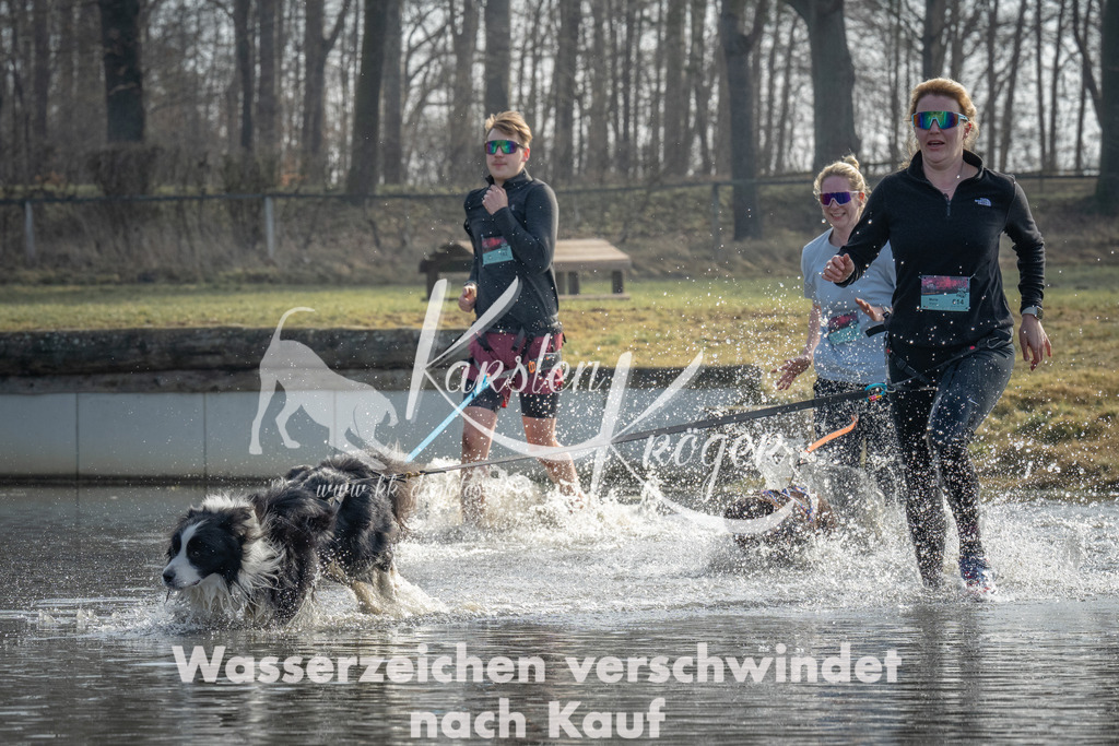 1046_ZZ99754 | kk-dogfotos