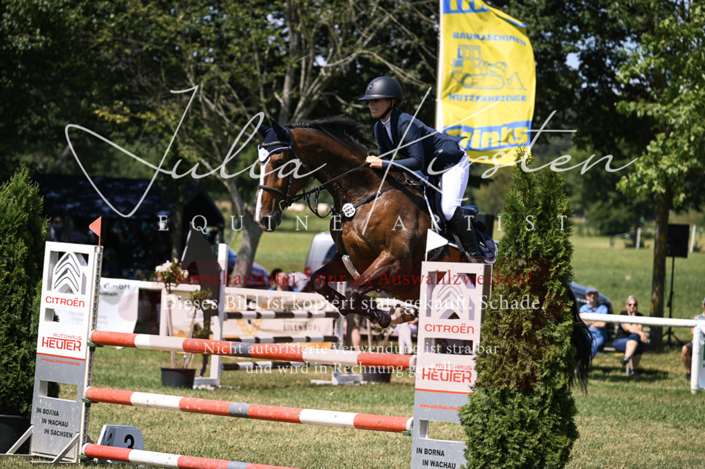 DSC_0111 | Pferde- und Turnierfotografie in Westsachsen. Pferdeportraits, Auftragszeichnungen und intuitive Kunst.