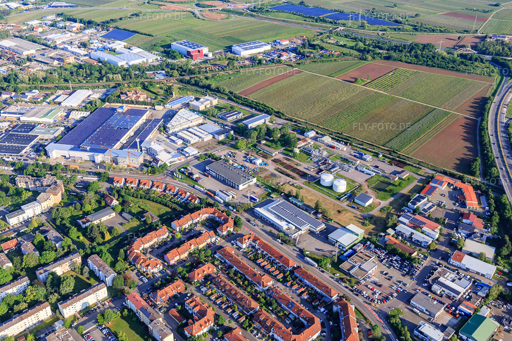 Luftbild: HNorstring mit Der Bäder-Stern, Fritz Walter Eisen- und Sanitärhandel GmbH & Co. KG, MAN Truck & Bus Service Landau und Progroup AG in Landau in der Pfalz im Bundesland Rheinland-Pfalz in Deutschland. Foto: IMG_114167.jpg vom 26.05.2019 durch Werner Riehm/FLY-FOTO.deWWW.FRITZWALTER.DE