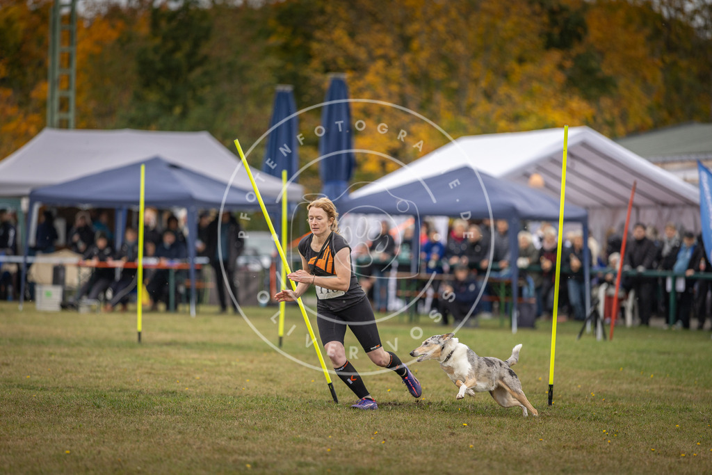 Pfotenfotografie_DV3A7562 | Hundefotografie, Tierfotograf, Pfotenfotografie, Fotoshooting Hund, Hunde Portrait, Hundesport, Hundeportraits, Heideshooting, Hunde, Sportfotograf, Hundefotograf, Turnierhundsport, THS,  - Realisiert mit Pictrs.com
