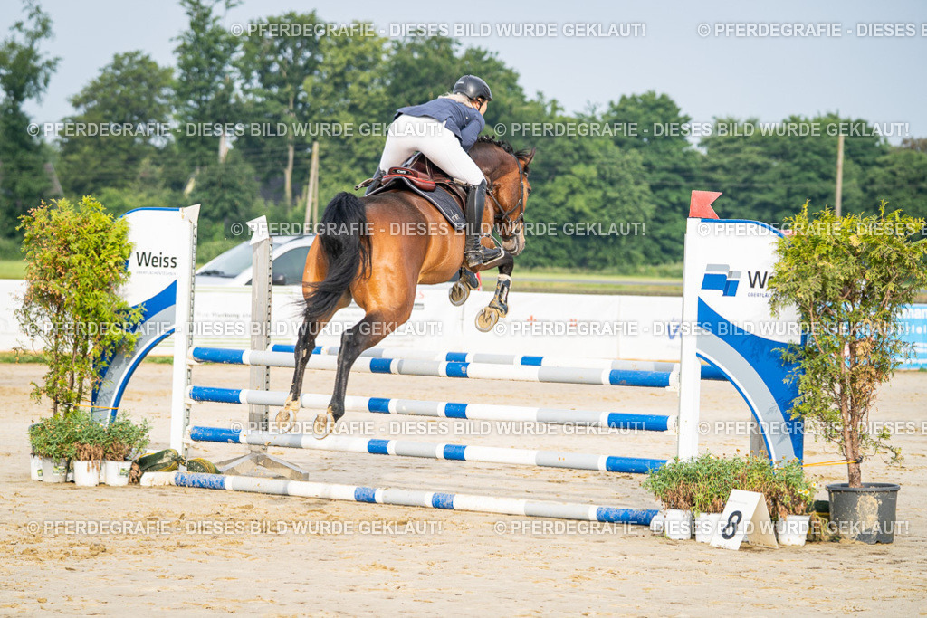 DSC08052 | Pferdegrafie