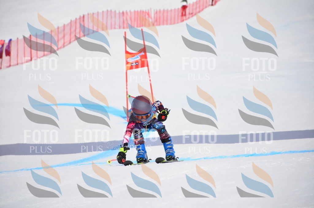 VR4_7399 | holidayphoto