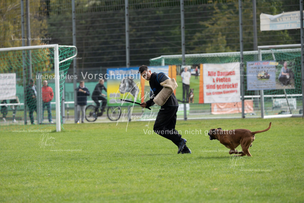 _16A7023 | Einzigartige Fotos von Hunden & Menschen –Actionfotos, Portraits, Vereinsaufnahmen & Paarshootings – authentisch, lebendig & mit Herz.