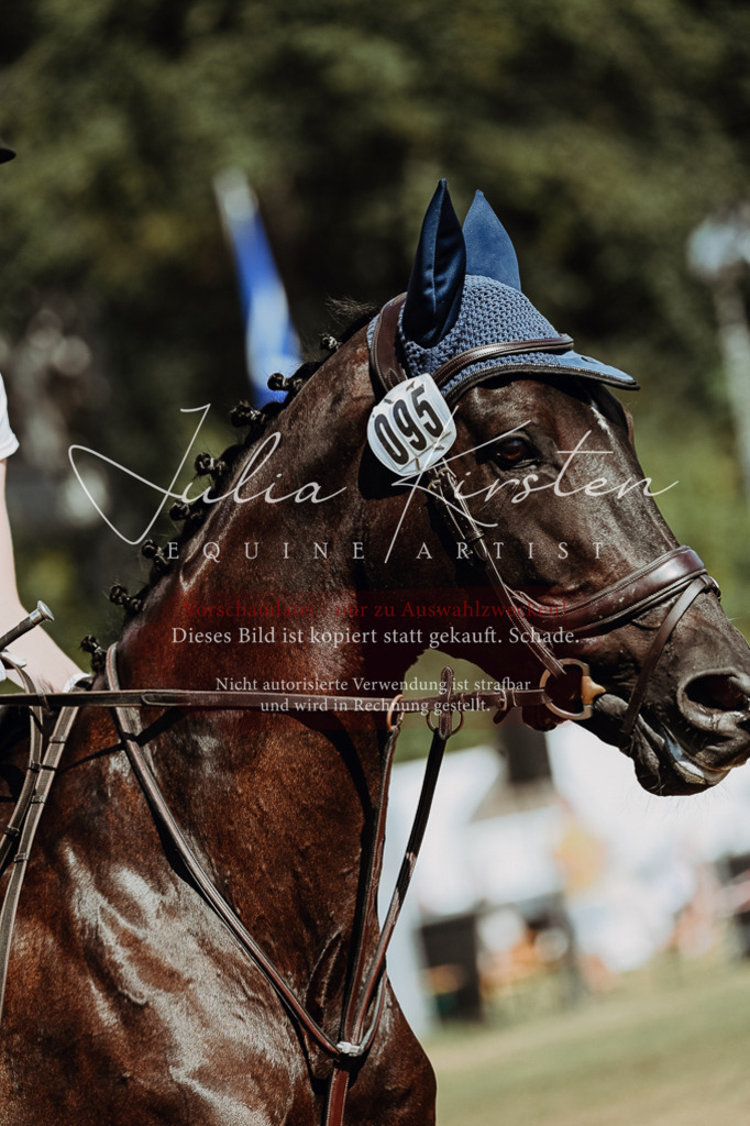 DSC_9655 | Pferde- und Turnierfotografie in Westsachsen. Pferdeportraits, Auftragszeichnungen und intuitive Kunst.