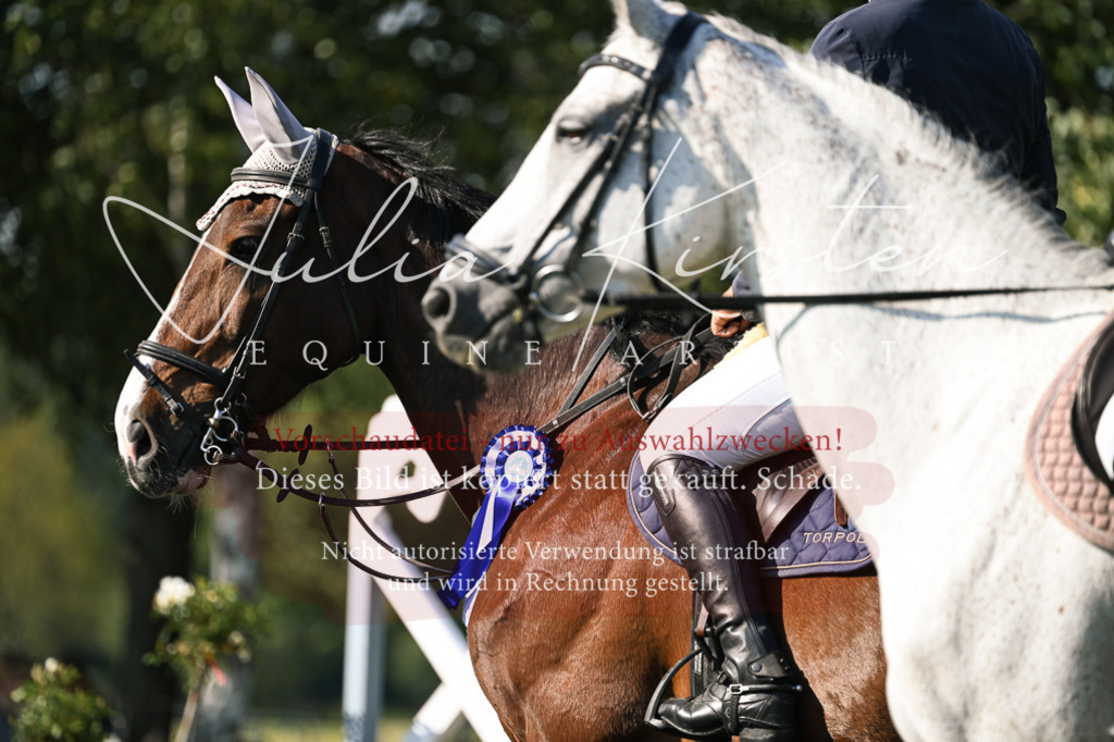 DSC_1536 | Pferde- und Turnierfotografie in Westsachsen. Pferdeportraits, Auftragszeichnungen und intuitive Kunst.