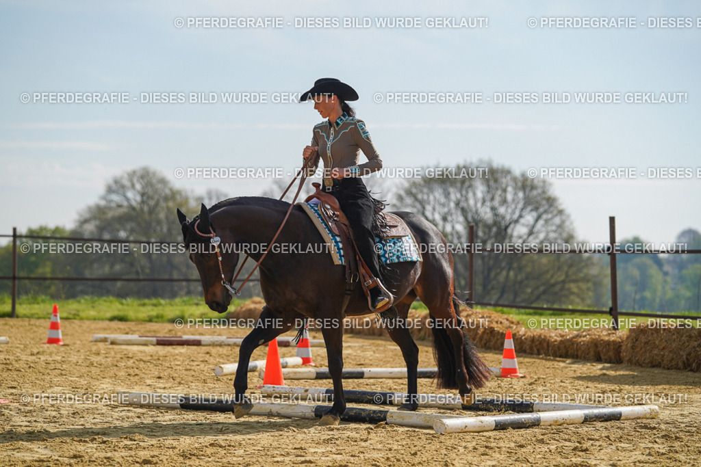 DSC01345 | Pferdegrafie