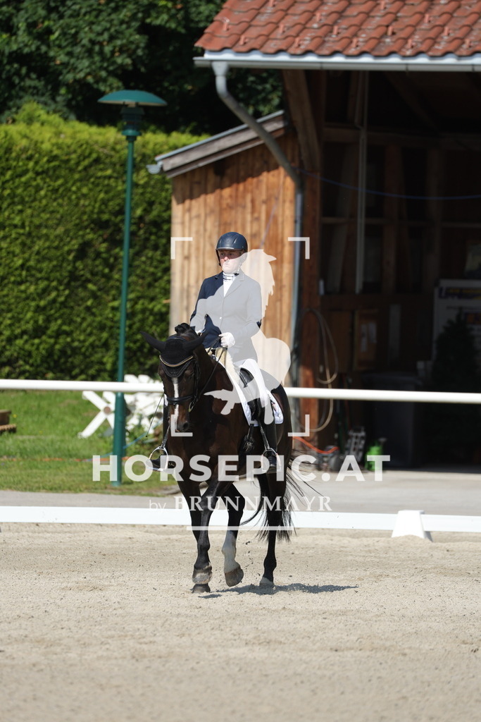 0P6A0366 | Willkommen bei Brunnmayr - Design & Fotografie – Ihrem Spezialisten für Reitturniere und Pferdeveranstaltungen in Oberösterreich, Salzburg und Bayern! Seit über 17 Jahren sind wir leidenschaftlich dabei.