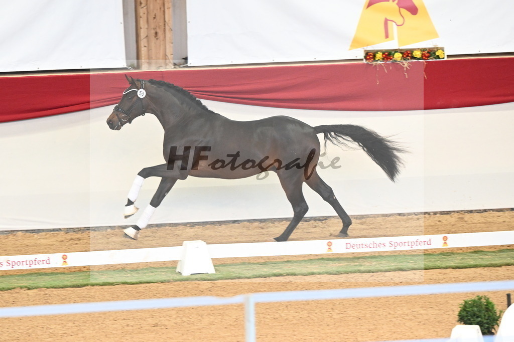 Kat.-Nr. 53 v. Feinsten_Kratzberg_3260547 | hf-fotografie - Realisiert mit Pictrs.com