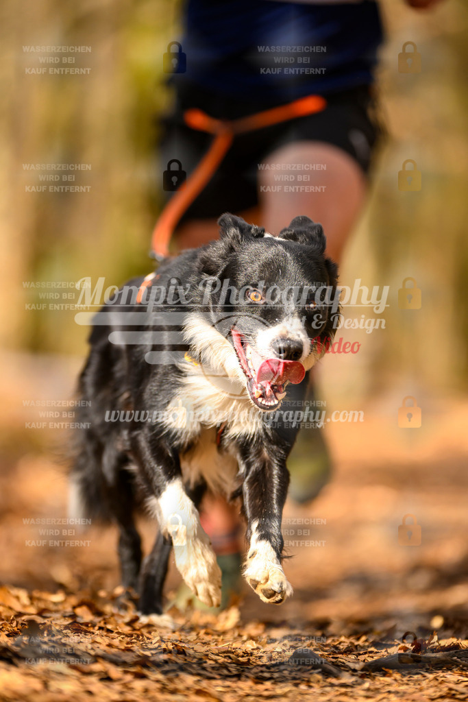 MompixPhotography_Habay2025_SA_CCC-166 | PayLife