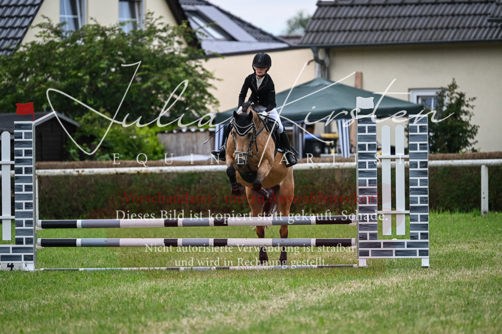 DSC_8576 | Pferde- und Turnierfotografie in Westsachsen. Pferdeportraits, Auftragszeichnungen und intuitive Kunst.