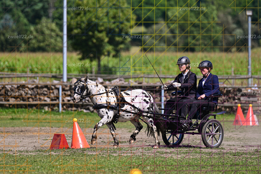 30 Jahre RFV Pulsnitz e.V., Pulsnitz am 09.08.2026 | Zur 28. breitensportlichen Veranstaltung des RFV Pulsnitz e.V. fanden verschiedene Wettbewerbe in nahezu allen Disziplinen des Pferdesport statt. - 18 Kegel-Fahr-Wettbewerb - Realisiert mit Pictrs.com