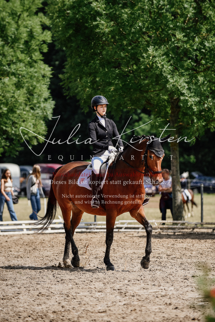 DSC_0977 | Pferde- und Turnierfotografie in Westsachsen. Pferdeportraits, Auftragszeichnungen und intuitive Kunst.