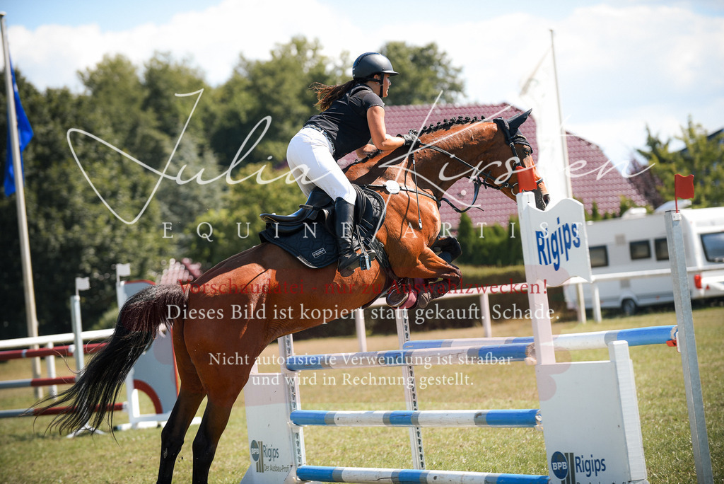 DSC_7097 | Pferde- und Turnierfotografie in Westsachsen. Pferdeportraits, Auftragszeichnungen und intuitive Kunst.