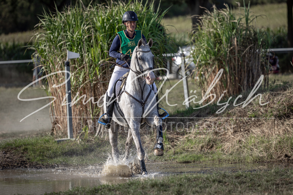 20250907-_3LI4266 | Tierfotografie Pferde, Hunde, Katzen, Haustiere.
Turnierfotografie Reitturniere, Reiten, Springreiten, Dressur in Hanau, dem Main-Kinzig-Kreis und dem Rhein-Main- Gebiet um Frankfurt
