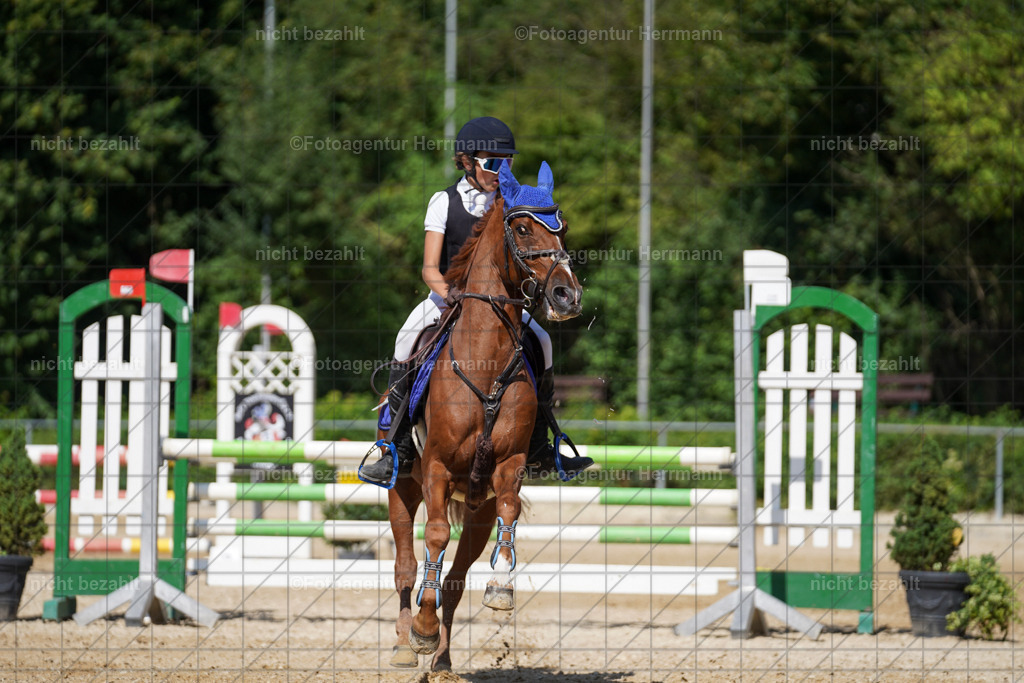 20240824-FAH08193 | Thierhaupten 2024, Bayerisches Landesponyturnier, Turnierbilder, Ponybilder, Turnierfotografen Bayern, Fotoagentur Herrmann