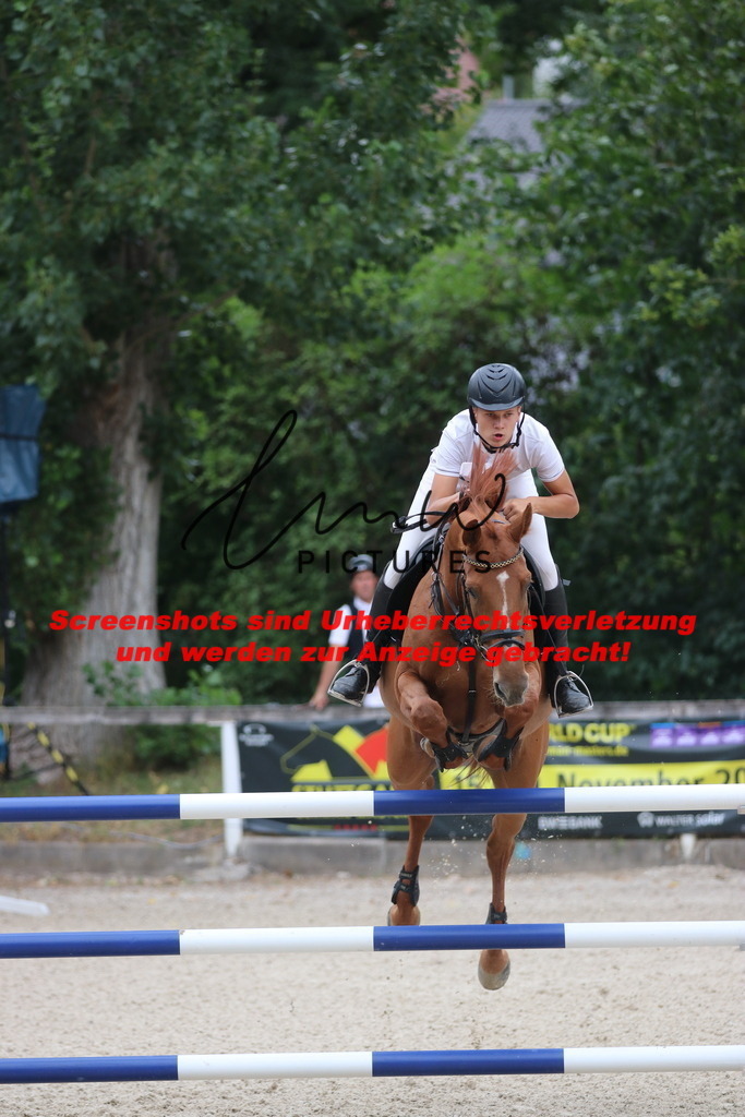 IMG_7938 | lmwpictures - Realisiert mit Pictrs.com