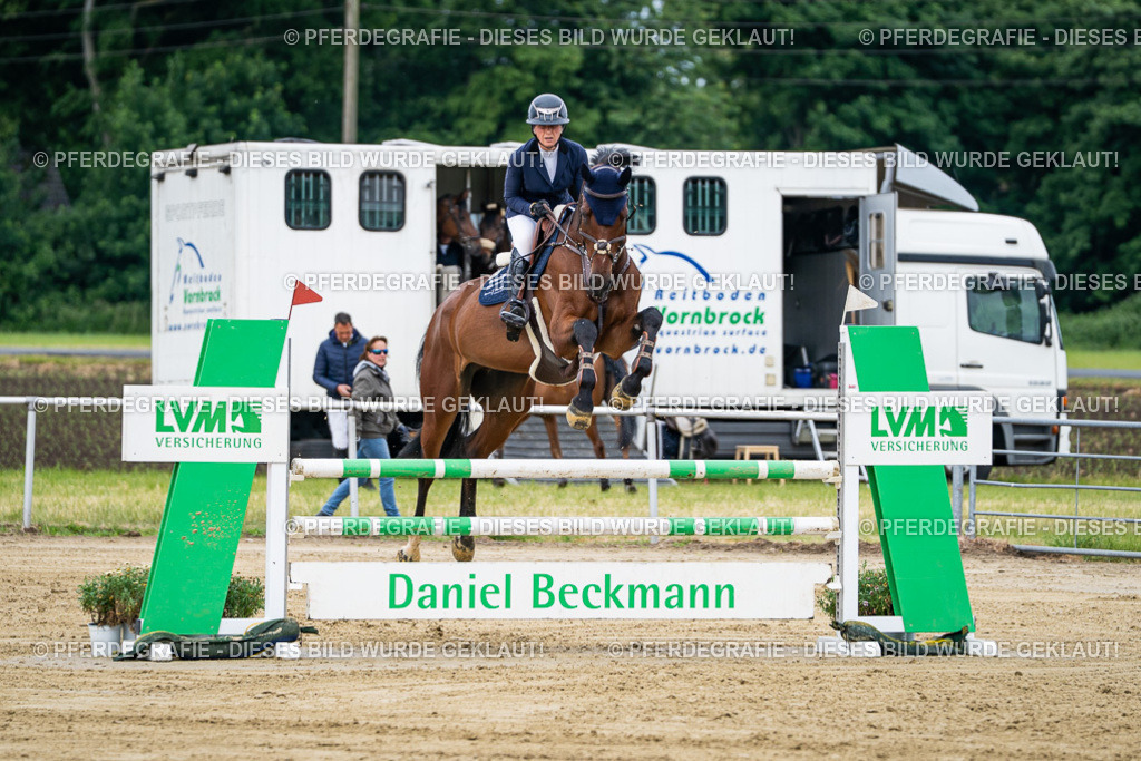 DSC04892 | Pferdegrafie